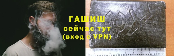 герыч Алексин